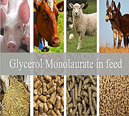 วัตถุเจือปนอาหาร: Glycerol Monolaurate GML80 Powder for Animal